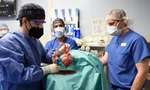 Các bác sĩ đang tiến hành phẫu thuật ghép tim lợn cho ông David Bennett 