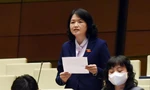 Đại biểu Quốc hội Nguyễn Thị Mai Thoa