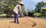 Cà Mau: Hủy quyết định kỷ luật cán bộ do sai căn cứ pháp lý