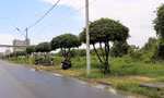 Khởi tố 2 nguyên phó chủ tịch huyện ở Bạc Liêu