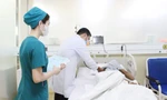 Người đàn ông nguy kịch vì bị ong vò vẽ đốt hơn 120 vết