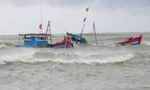 Cứu 5 ngư dân bị chìm tàu trên biển