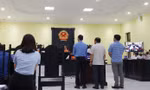 'Thiếu gia' điện gió ở miền Tây bị đề nghị 12-13 năm tù