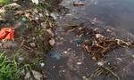 Chủ tịch Cà Mau chỉ đạo xử lý triệt để vụ nước thải nhà máy rác tràn vào vuông tôm