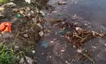 Chủ tịch Cà Mau chỉ đạo xử lý triệt để vụ nước thải nhà máy rác tràn vào vuông tôm