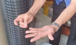 Phát hiện ‘gạo lạ’ ở Hậu Giang