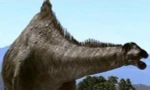 Loài khủng long sauropod. Nguồn: Internet