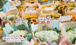 Đa dạng thị trường hoa, quà tặng Ngày nhà giáo Việt Nam 20/11