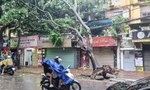 Hà Nội: Gió giật, cây đổ, tôn bung la liệt trước khi bão số 3 đổ bộ 