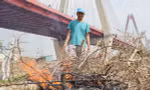 Người dân khóc nghẹn khi đốt từng gốc cây, nỗ lực 'hồi sinh' làng đào Nhật Tân sau bão lũ
