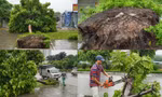 Hàng loạt cây xanh trên đường Xuân Phương bật gốc sau trận mưa lớn ở Hà Nội