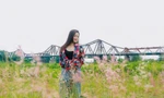 Người Hà Nội thích thú check-in bãi cỏ hồng đẹp như mơ dưới chân cầu Long Biên
