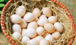 Thực hư thông tin trứng gà ‘lạ’ 