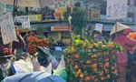 Sự thật quýt Úc tràn ngập chợ, giá siêu rẻ