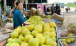 Độc đáo phiên chợ 'đệ nhất danh quả' nức tiếng Hà Tĩnh