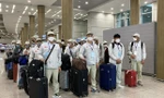 Hơn 46.000 lao động Việt Nam đang ‘làm việc chui’ ở nước ngoài