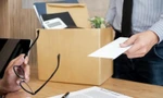 Toàn bộ hội đồng quản trị một doanh nghiệp xin từ nhiệm