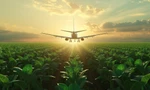 Máy bay thương mại sử dụng nhiên liệu sinh học. Ảnh: iStock. 