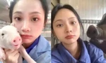 Cô gái 26 tuổi bỏ việc lương cao để làm nghề... nuôi lợn