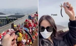 Cô gái bay từ Mỹ về Hàn Quốc để cắt bỏ ổ khóa tình yêu ở tháp Namsan 
