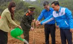 Tuổi trẻ Hòa Bình phát động Tết trồng cây