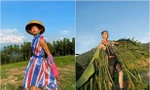 Chàng trai nông dân trở thành hiện tượng mạng triệu view với thời trang tự chế 