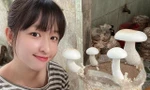 Phạm Thị Phước Vân bên sản phẩm nấm của mình 