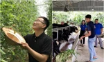 Bạn trẻ rời phố về quê, khởi nghiệp làm nông, khó hay dễ? 