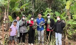 Ươm mầm sinh kế cho đồng bào nghèo