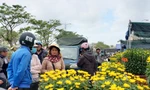 Hoa Tết rực rỡ xuống phố, người mua vẫn thưa thớt
