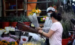 Giá hoa hồng Đà Lạt tăng kỷ lục trước ngày Valentine