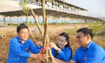 Tuổi trẻ TPHCM trồng cây xanh chào Xuân Ất Tỵ 2025