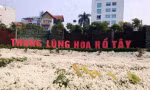 Thung lũng hoa Hồ Tây sử dụng sai mục đích đất.