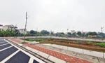 Cận cảnh khu đất đấu giá nhiều sai phạm ở Hà Nội