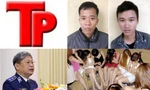 Bản tin Hình sự: Truy bắt các đối tượng chém 'trùm giang hồ' tử vong
