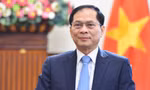 Phó Thủ tướng, Bộ trưởng Ngoại giao Bùi Thanh Sơn. (Ảnh: Mofa)