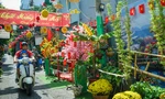 Sắc xuân choáng ngợp trong nhiều con hẻm ở TPHCM