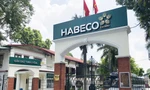 Theo Bộ Công Thương, Habeco vẫn là “gà đẻ trứng vàng’’ mang lại nhiều lợi nhuận trong số đơn vị thuộc Bộ Ảnh: Như Ý 