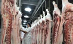 Trong khi xuất khẩu nhỏ giọt, Việt Nam chi tới hơn 2 tỷ USD để nhập khẩu thịt, các sản phẩm thịt trong 7 tháng qua 