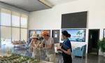 Minh Phương trong vai trò tư vấn viên bất động sản 