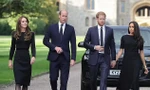 Vua Charles, William - Kate và Harry - Meghan đều bị sụt giảm danh tiếng