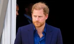 Harry không hối tiếc vì quay lưng với gia đình 