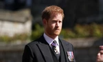 Ban tổ chức lễ đăng cơ sợ Hoàng tử Harry không đến vào phút cuối
