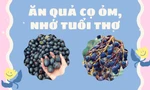 Trở về tuổi thơ với quả cọ ỏm: "Gây sốt" cộng đồng mạng, cả năm chỉ có một mùa