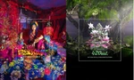Mở rộng khung hình Artwork cực chất: Bất ngờ khi biết do AI tạo nên