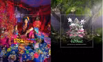 Mở rộng khung hình Artwork cực chất: Bất ngờ khi biết do AI tạo nên