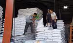 Philippines loại bỏ kế hoạch nhập khẩu 300.000 tấn gạo