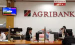 Agribank - một trong những "ông lớn” ngân hàng đồng loạt xin tăng vốn điều lệ. ảnh minh hoạ 