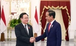Chủ tịch Quốc hội kết thúc chuyến thăm Indonesia, dự AIPA-44 và thăm Iran