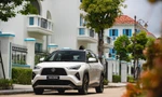Dàn xe gầm cao hybrid nổi bật tại thị trường Việt 